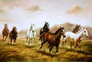 unknow artist Horses 03 oil on canvas